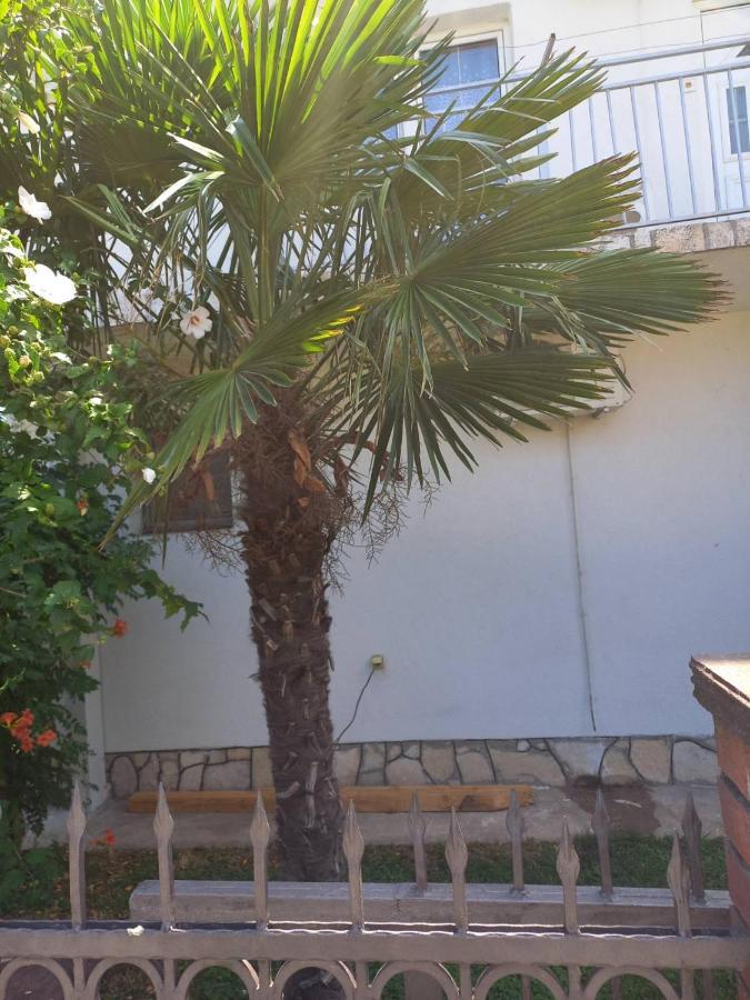 Traveler'S Rest - Near Podgorica Airport Hostel Mitrovici  Exterior foto
